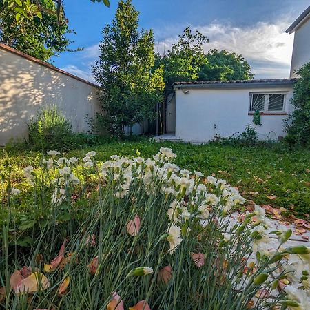 טולוז La Maison Calme Et Lumineuse Avec Jardin מראה חיצוני תמונה