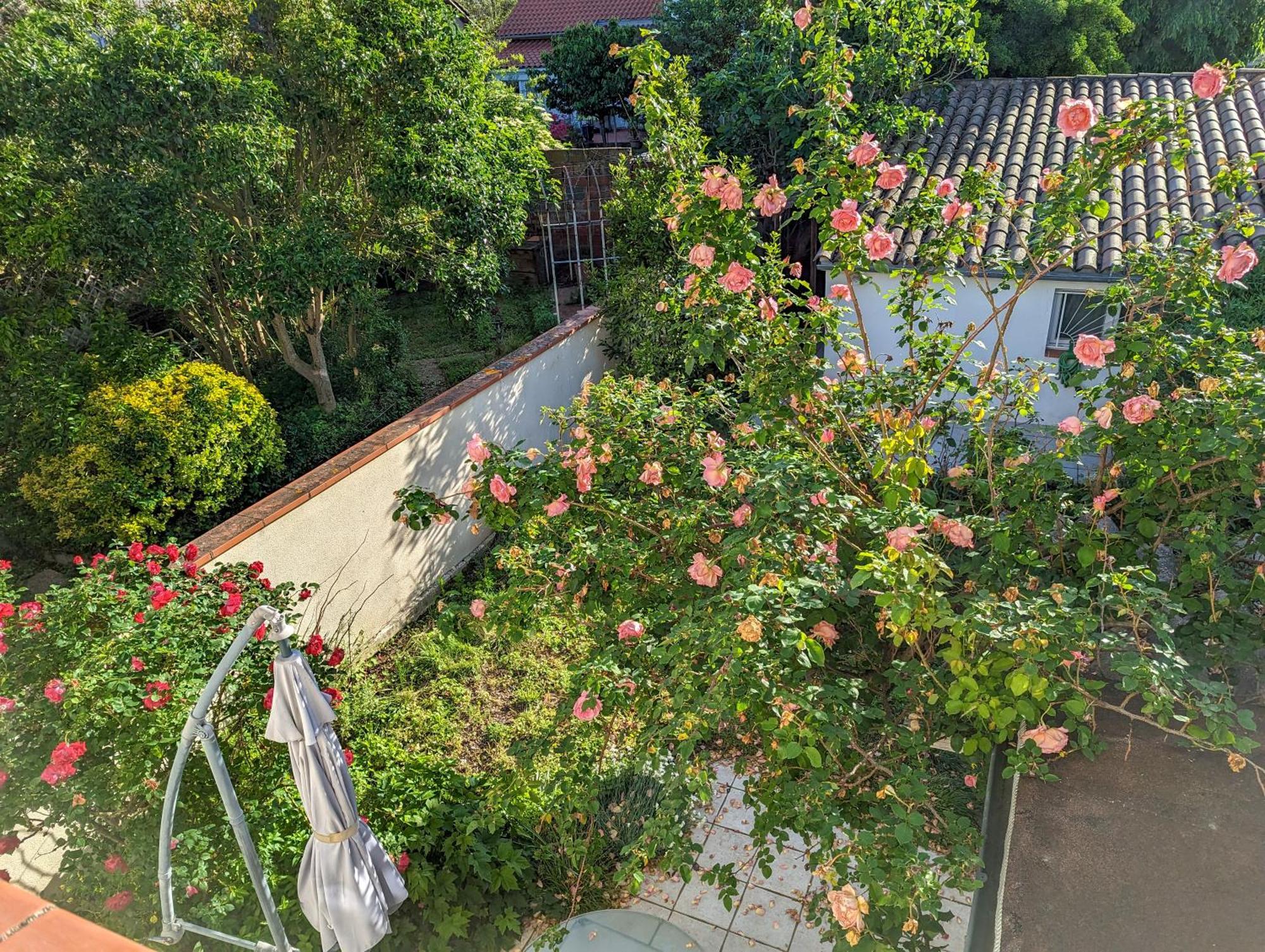 טולוז La Maison Calme Et Lumineuse Avec Jardin מראה חיצוני תמונה